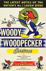 Watch The Woody Woodpecker Polka Vumoo