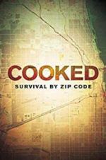 Watch Cooked: Survival by Zip Code Vumoo