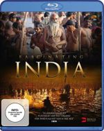 Watch Fascinating India 3D Vumoo