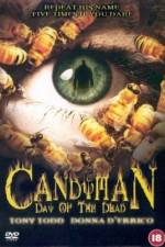 Watch Candyman: Day of the Dead Vumoo