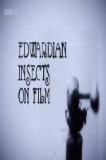 Watch Edwardian Insects on Film Vumoo