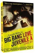 Watch Big Bang Love Juvenile A Vumoo