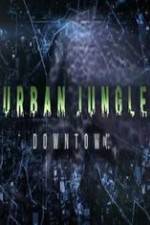 Watch National Geographic Wild Urban Jungle Downtown Vumoo