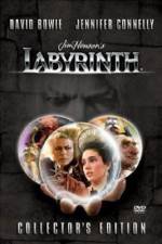 Watch Labyrinth Vumoo