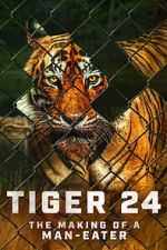 Watch Tiger 24 Vumoo