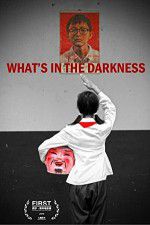 Watch What\'s in the Darkness Vumoo
