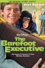 Watch The Barefoot Executive Vumoo