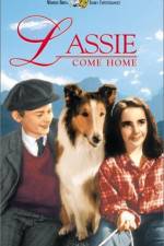 Watch Lassie Come Home Vumoo