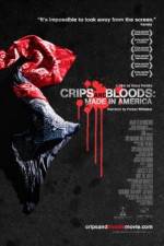 Watch Crips and Bloods: Made in America Vumoo