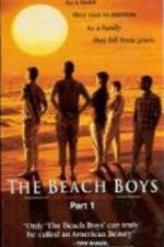 Watch The Beach Boys An American Family Vumoo