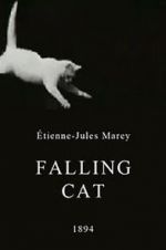 Watch Falling Cat Vumoo