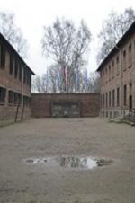 Watch Made in Auschwitz: The Untold Story of Block 10 Vumoo