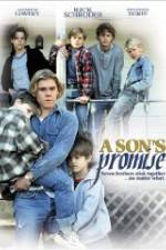 Watch A Son's Promise Vumoo