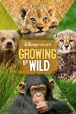 Watch Growing Up Wild Vumoo