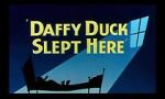 Watch Daffy Duck Slept Here (Short 1948) Vumoo
