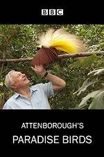 Watch Attenborough's Paradise Birds Vumoo