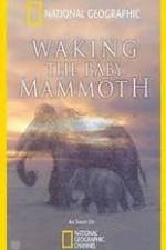 Watch Waking the Baby Mammoth Vumoo