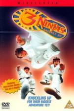 Watch 3 Ninjas Knuckle Up Vumoo