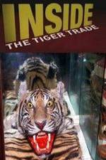 Watch Inside: The Tiger Trade Vumoo