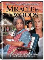 Watch Miracle in the Woods Vumoo