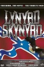 Watch Lynrd Skynyrd: Tribute Tour Concert Vumoo