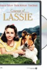 Watch Courage of Lassie Vumoo