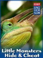 Watch Little Monsters - Hide & Cheat Vumoo