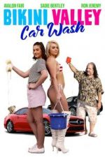 Watch Bikini Valley Car Wash Vumoo