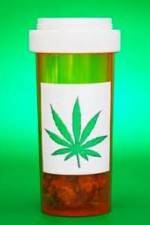 Watch Medicinal Cannabis and its Impact on Human Health Vumoo