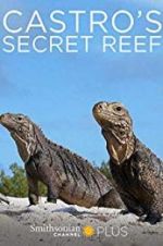 Watch Castro\'s secret reef Vumoo