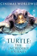 Watch Turtle The Incredible Journey Vumoo