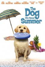 Watch The Dog Who Saved Summer Vumoo