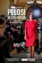 Watch Pelosi in the House Vumoo