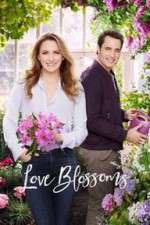 Watch Love Blossoms Vumoo