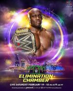 Watch WWE Elimination Chamber (TV Special 2022) Vumoo