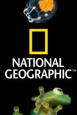 Watch National Geographic Wild Dam Beavers Vumoo