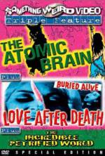 Watch Love After Death Vumoo