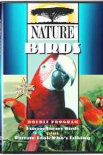 Watch PBS Nature - Extraordinary Birds Vumoo