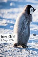 Watch Snow Chick: A Penguin's Tale Vumoo