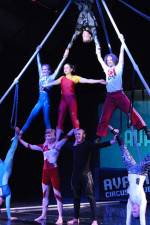 Watch Circus School Vumoo