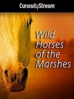 Watch Wild Horses of the Marshes Vumoo