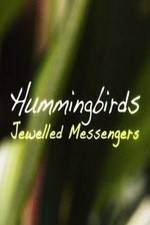 Watch Hummingbirds Jewelled Messengers Vumoo