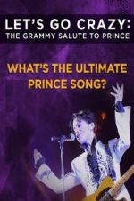 Watch Let\'s Go Crazy: The Grammy Salute to Prince Vumoo