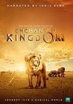 Watch Enchanted Kingdom 3D Vumoo