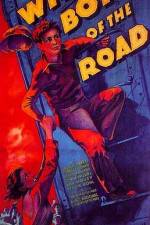 Watch Wild Boys of the Road Vumoo