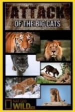 Watch National Geographic Attack Of The Big Cats Vumoo