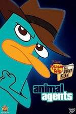 Watch Phineas And Ferb Animal Agents Vumoo