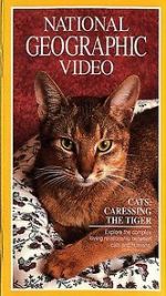 Watch Cats: Caressing the Tiger Vumoo