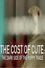 Watch The Cost of Cute: The Dark Side of the Puppy Trade Vumoo