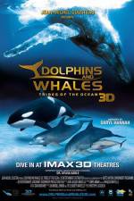 Watch Dolphins and Whales 3D Tribes of the Ocean Vumoo